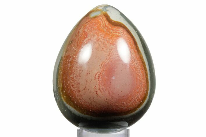 Polished Polychrome Jasper Egg - Madagascar #356191